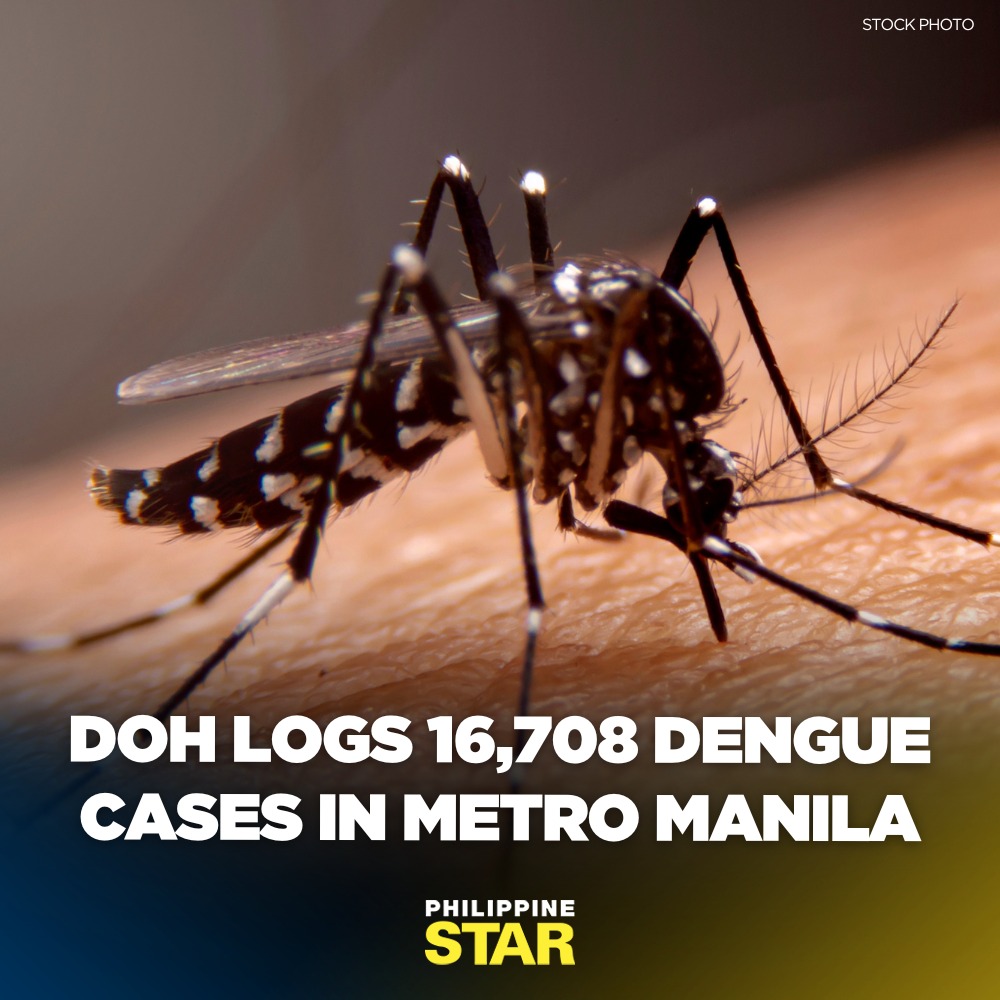 DOH logs 16,708 dengue cases in Metro Manila