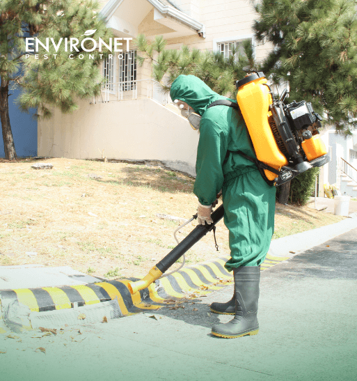 Mosquito Control Philippines