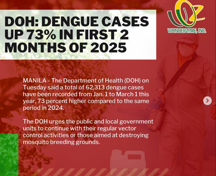 DOH: Dengue cases up 73% in first 2 months of 2025
